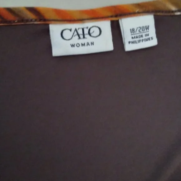 Cato 18/20 Earth tone Tunic - Picture 6 of 8